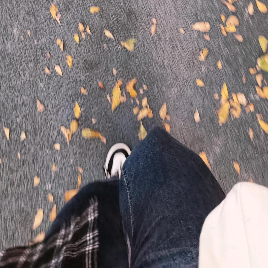 simple(发财版💙)