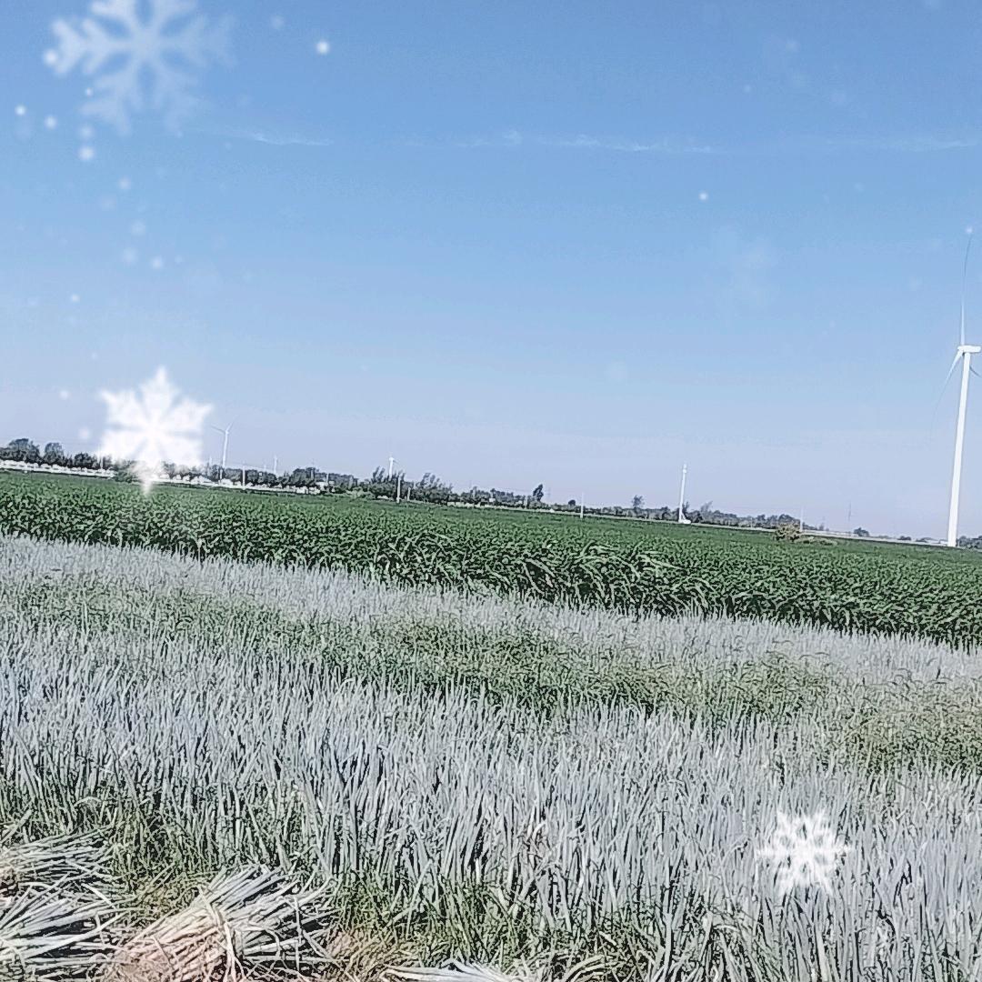 4米2蓝牌货车，跑全国