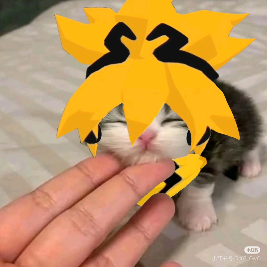 嘉小嘉