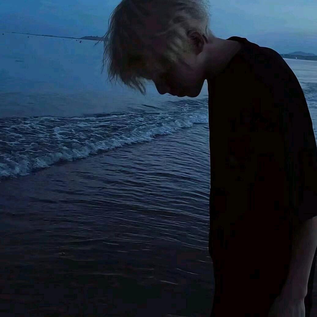 枫
