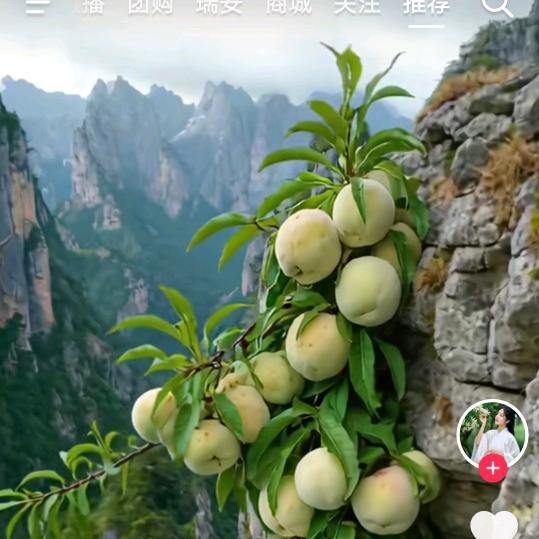 平平淡淡的我，过着平平淡淡的生活