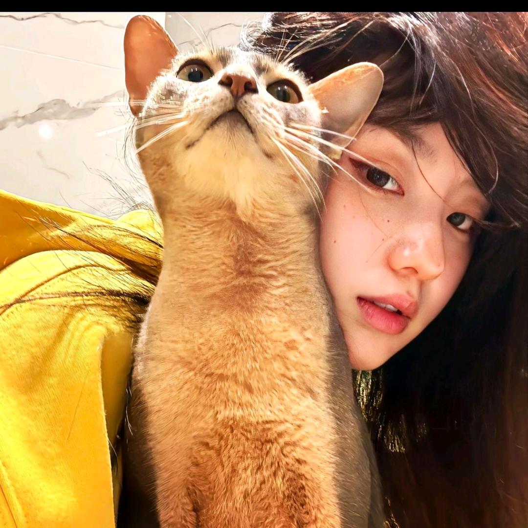 蒜了吧莓(摄影师)📸