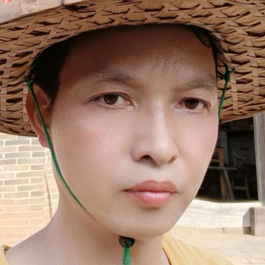 麦地八哥