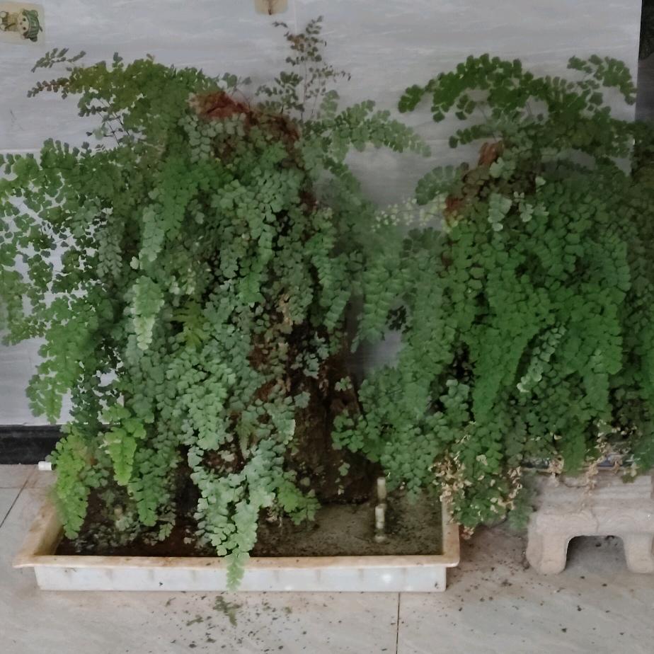 余生好好爱自己