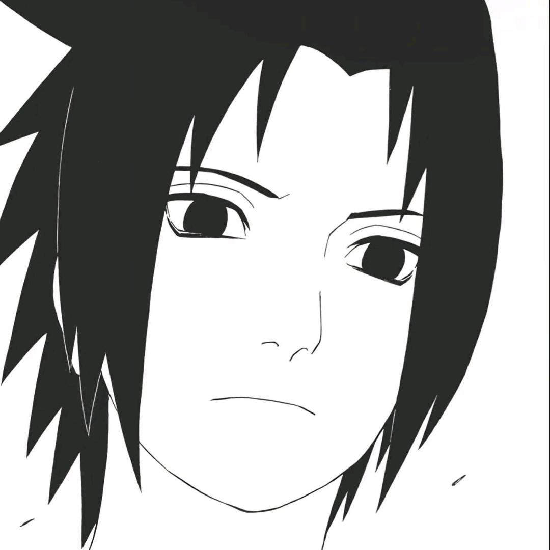 每日分享有趣的观点