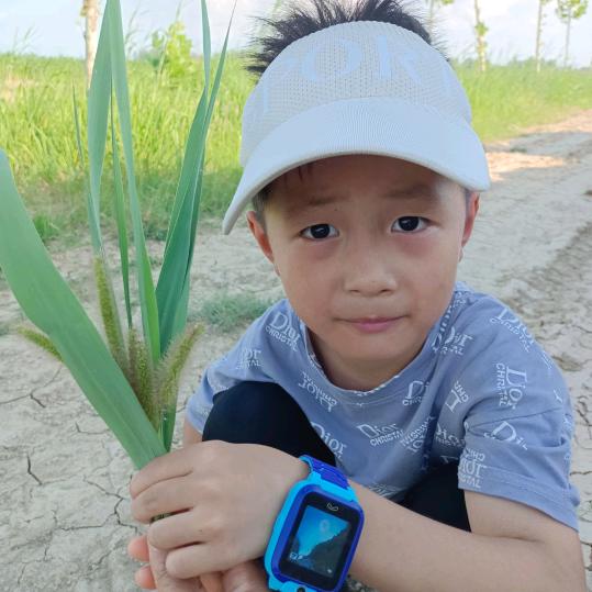 李娟开心过好每一天