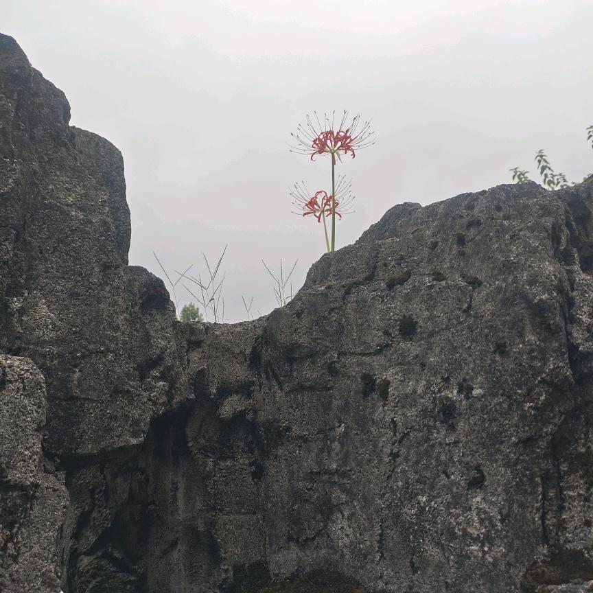 㣻罖