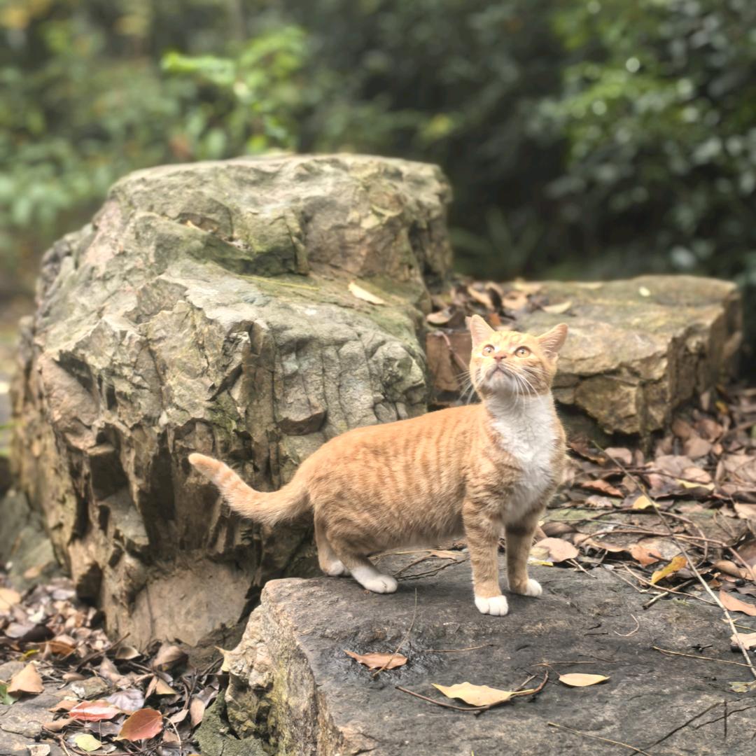 别再当伞，别失去人性