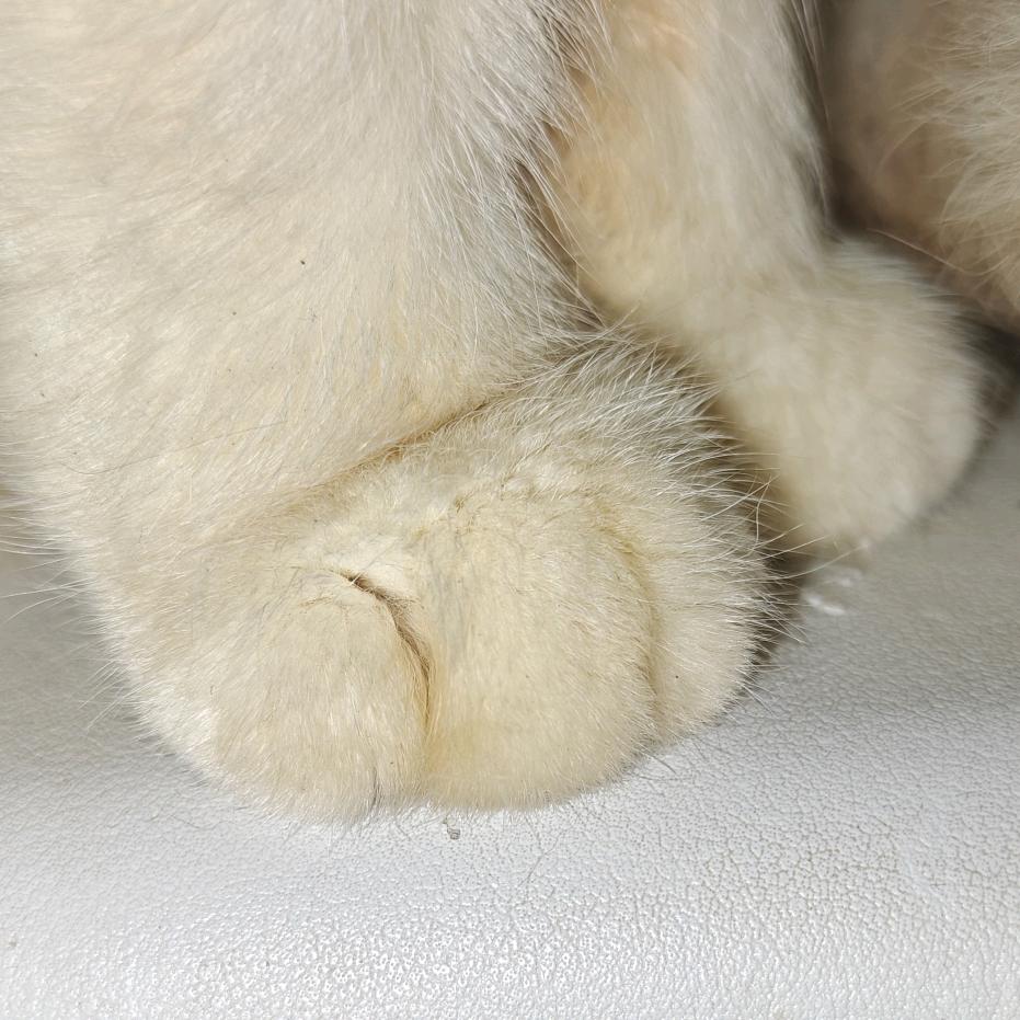 🦅李甜甜₍˄·͈༝·͈˄*₎◞ ̑̑