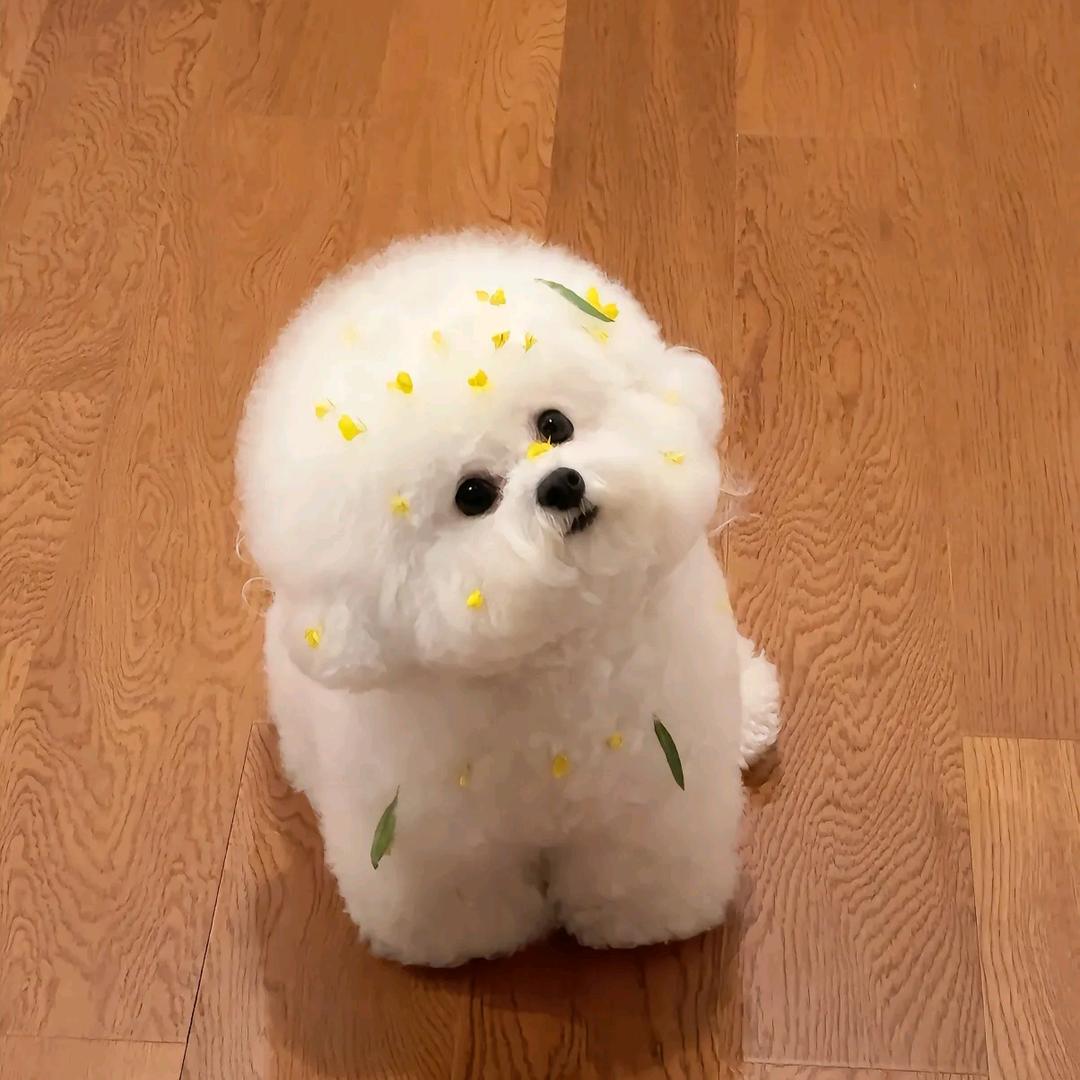 熙熙