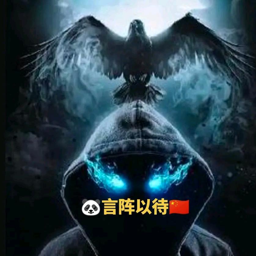 🐼言阵以待🇨🇳