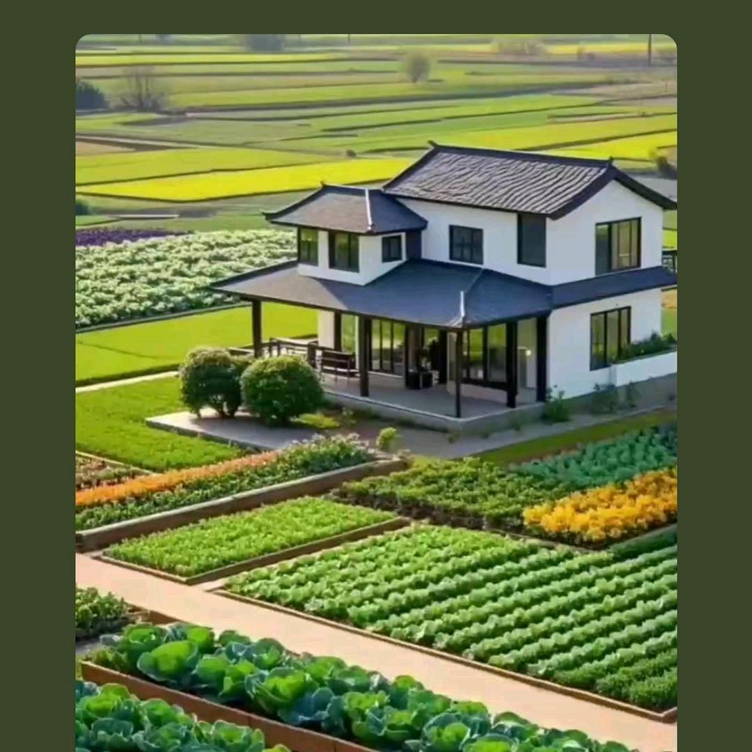 🍀᭄一世ꦿ꯭ঞৣঁ玖爱ꦿ᭄🌿