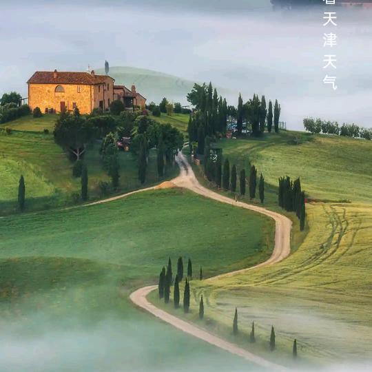 明日到生鲜香莲560