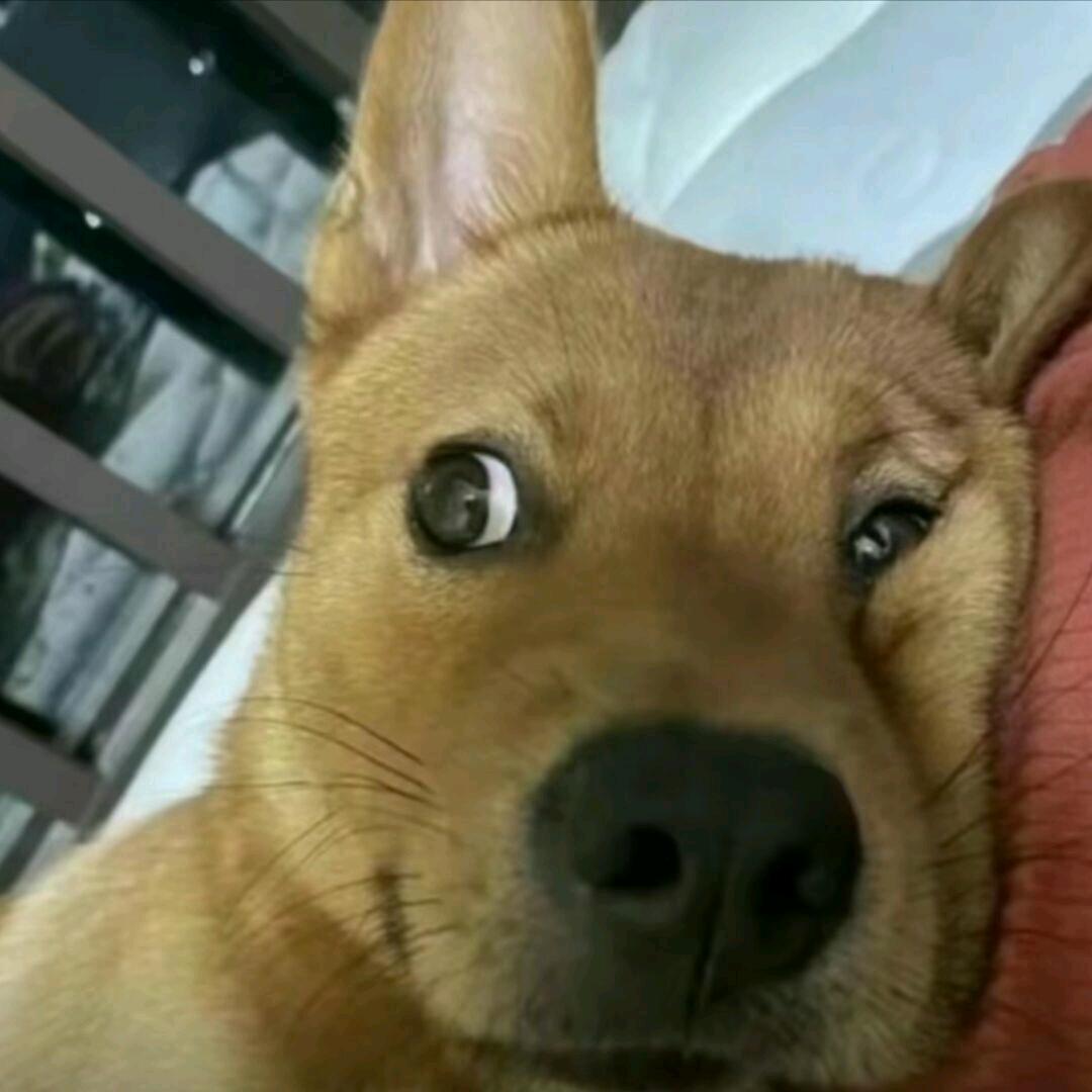 小怪兽（三角洲行动）