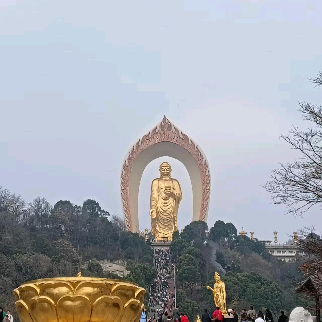 77年11月份🐍🐍