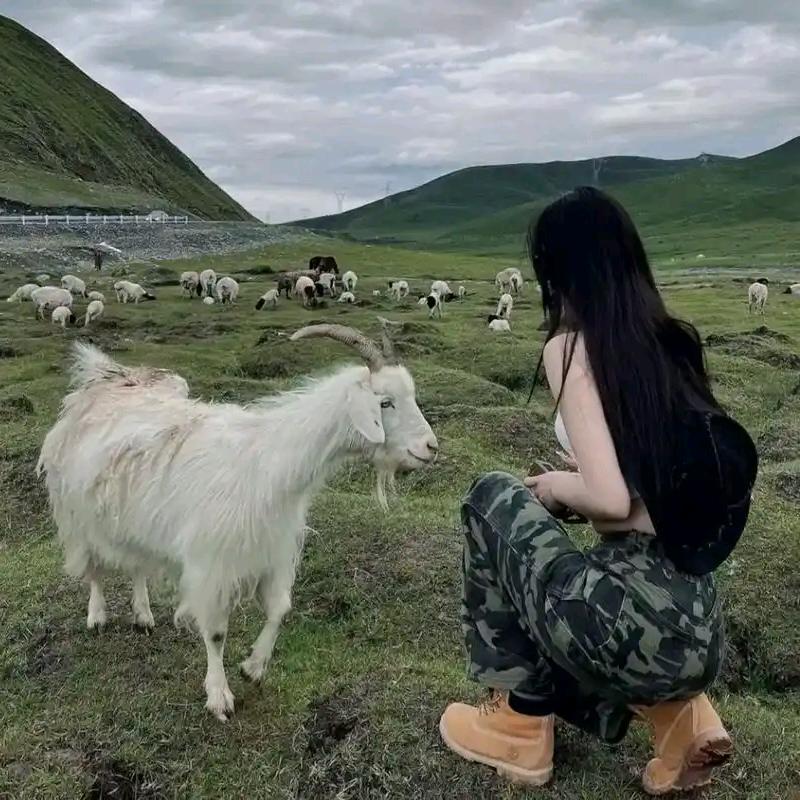 伟岸枝燕，硕舞冉升