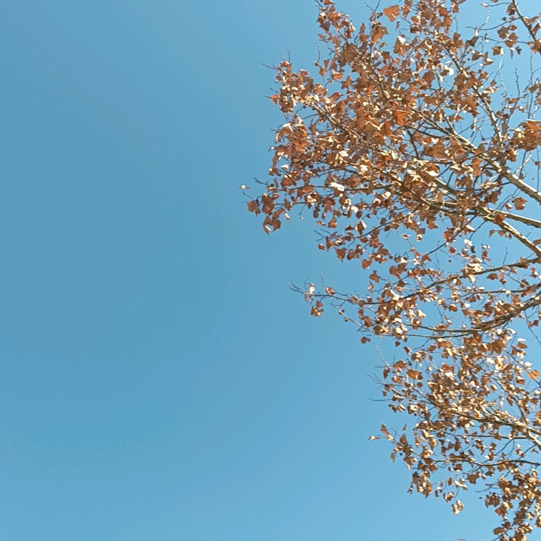 ☞执笔画流年☜