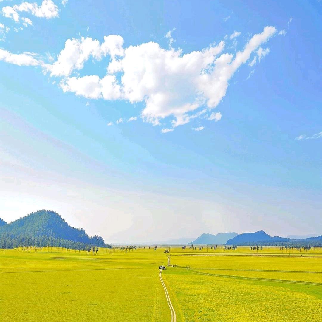 清梦星河