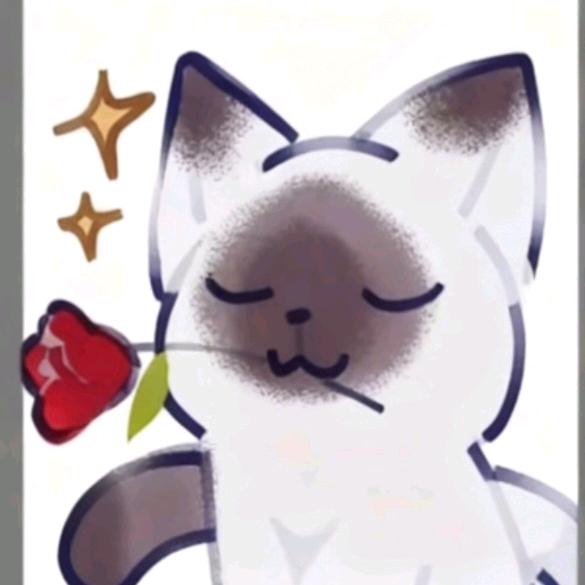 𝙎𝙏𝘼𝙍⭐️𝙈𝙊𝙑𝙀