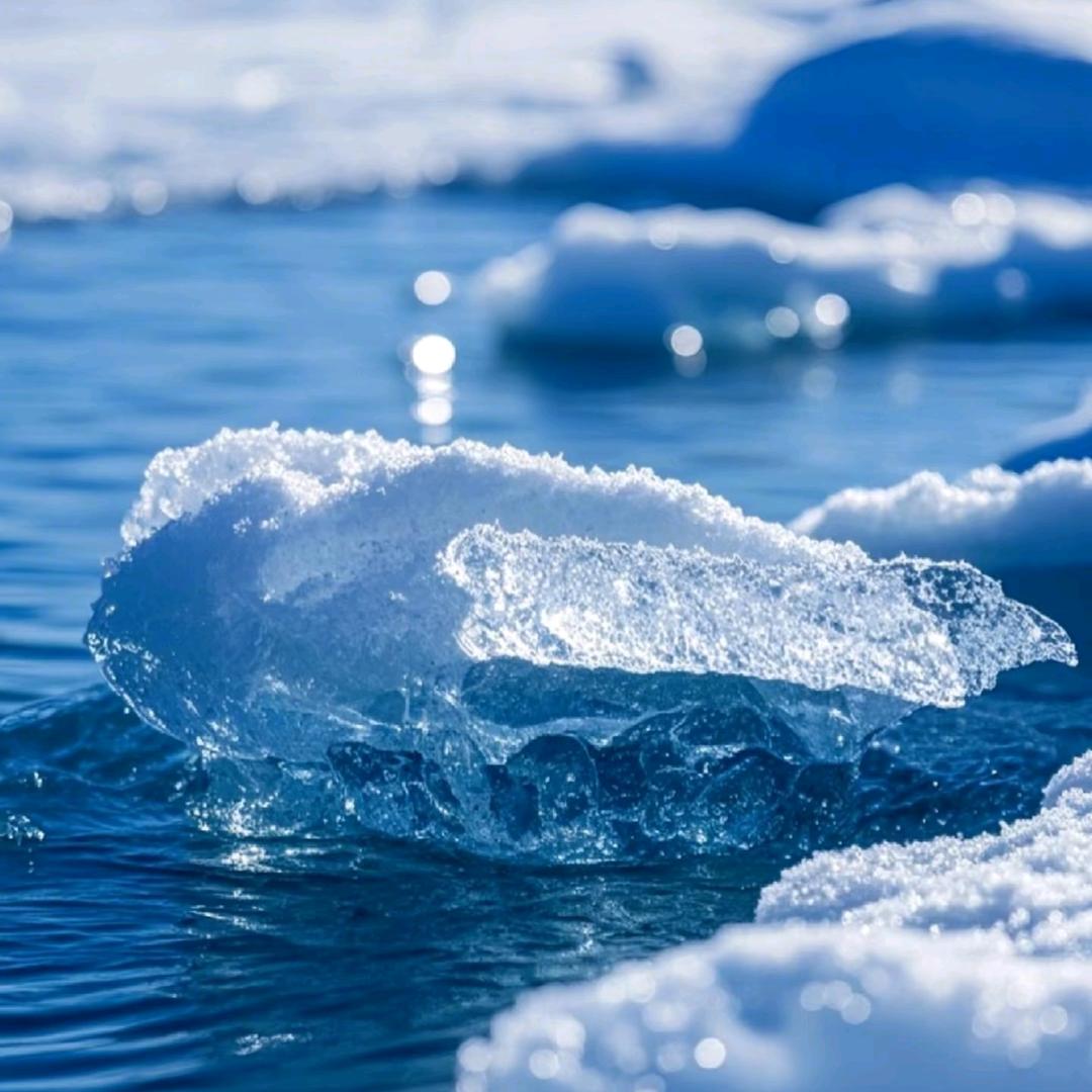 🌽Vivian程程💎