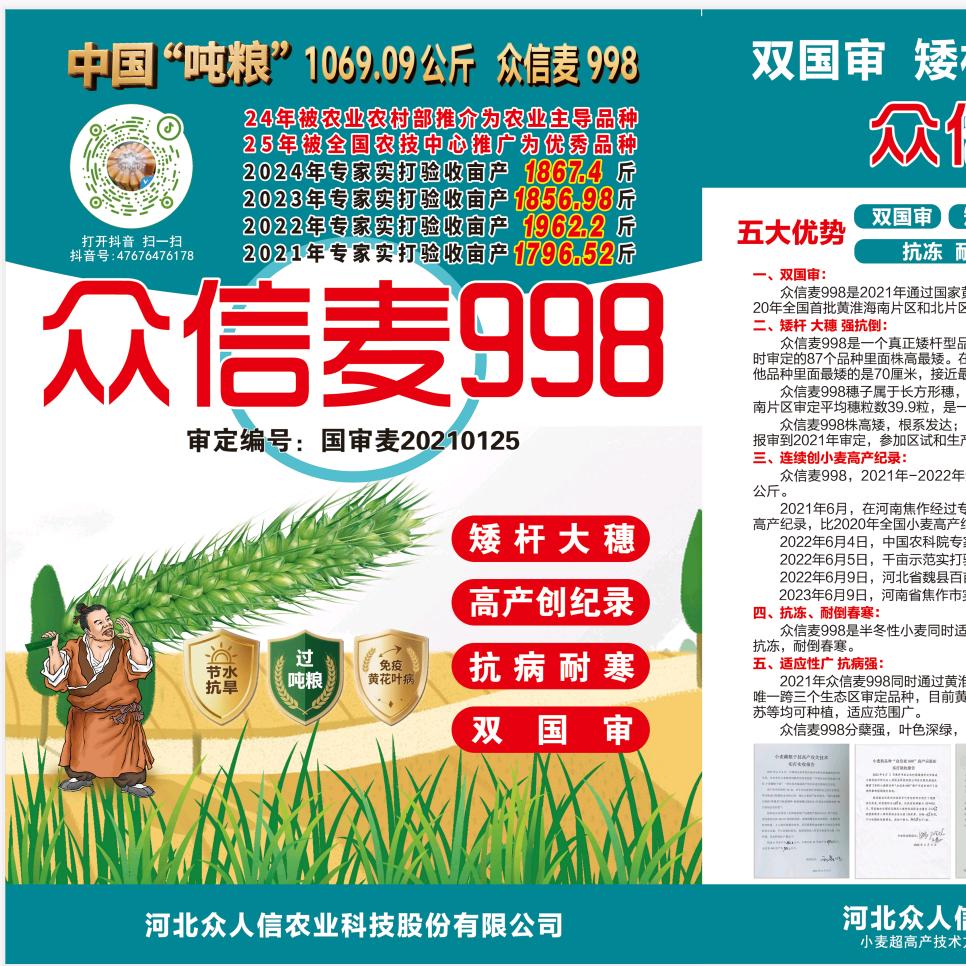 众信麦998.中国“吨粮”