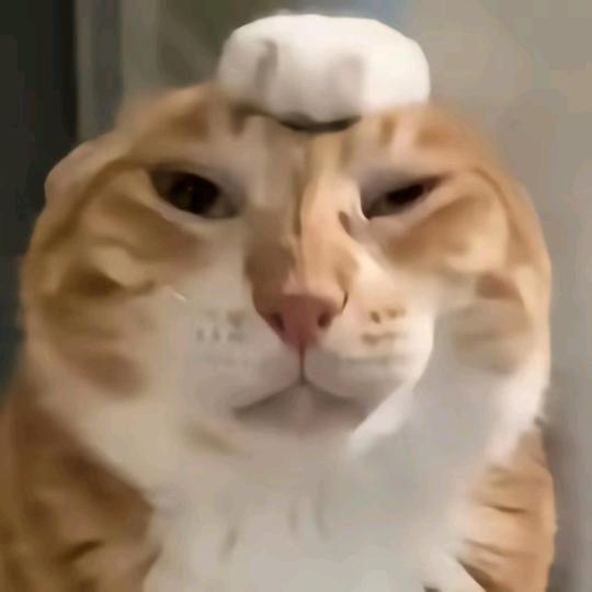 悲伤的农民666🗿