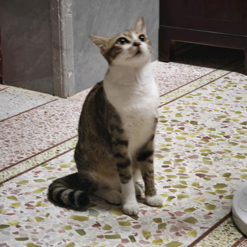 小太阳♪～(´ε｀ )