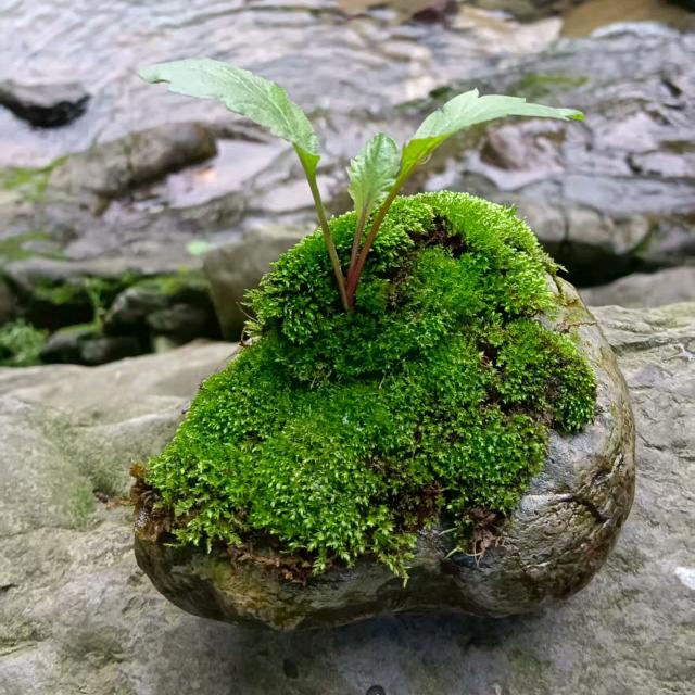 浩浚