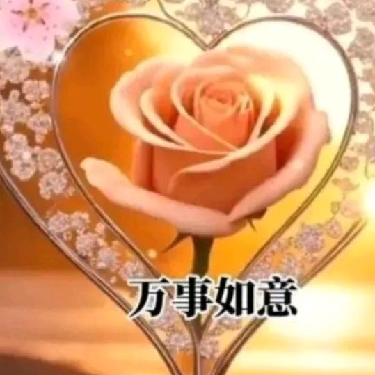 月华🎤🎤