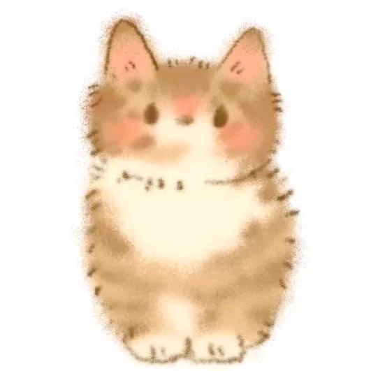 宝宝