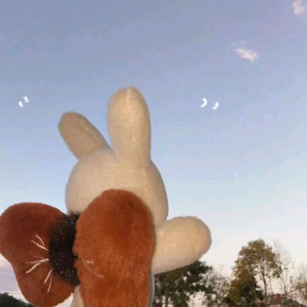可以睡个好觉吗