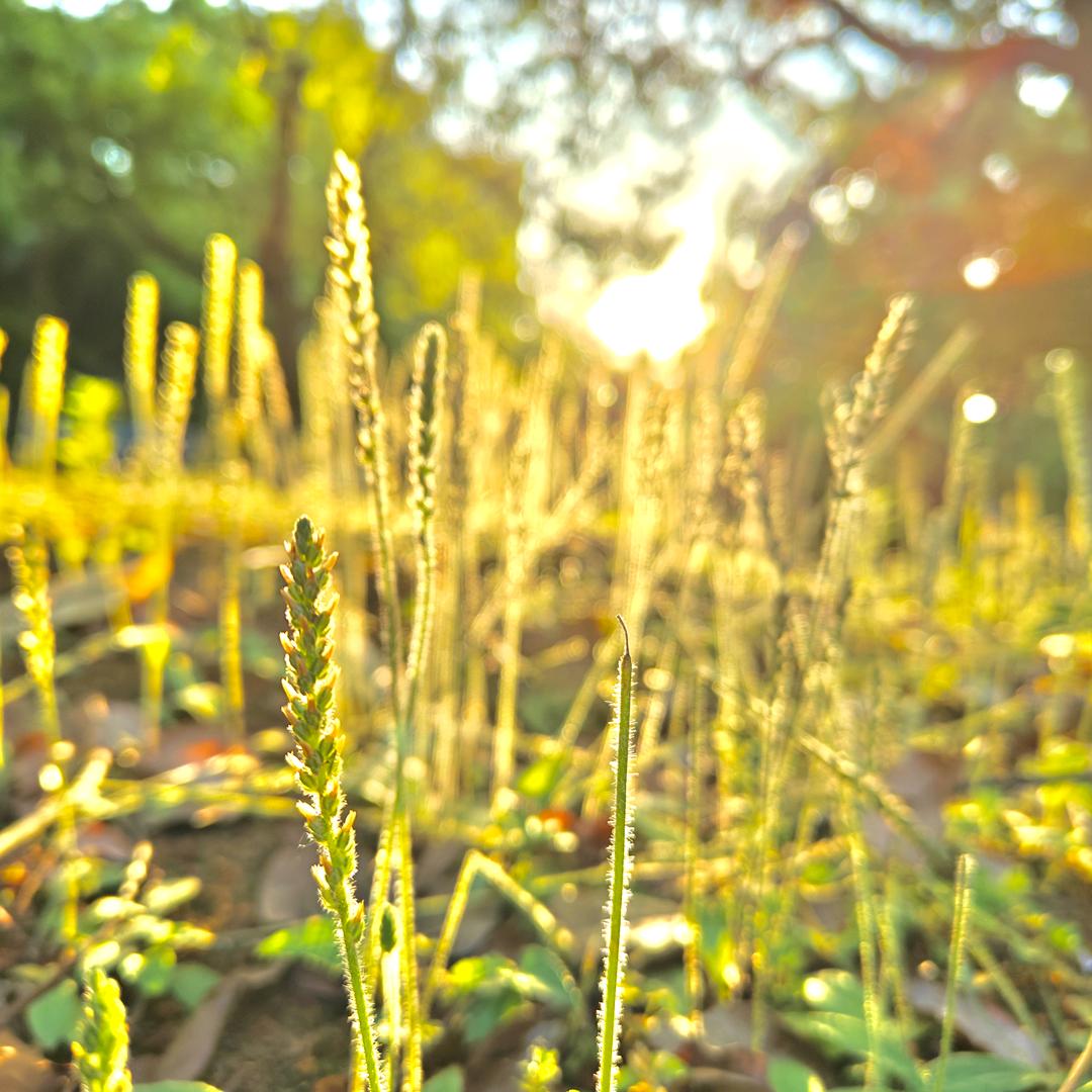 🍉🍉🍉🍉🍉🍉🍉🍉🍉