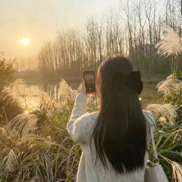 四叶草🍀