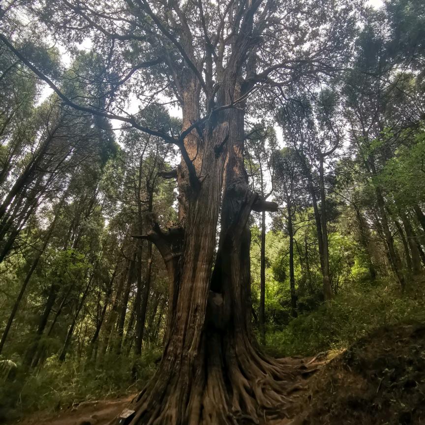 霂问