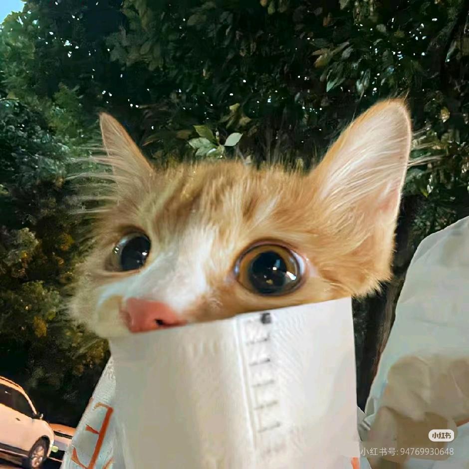 🎨苏苏