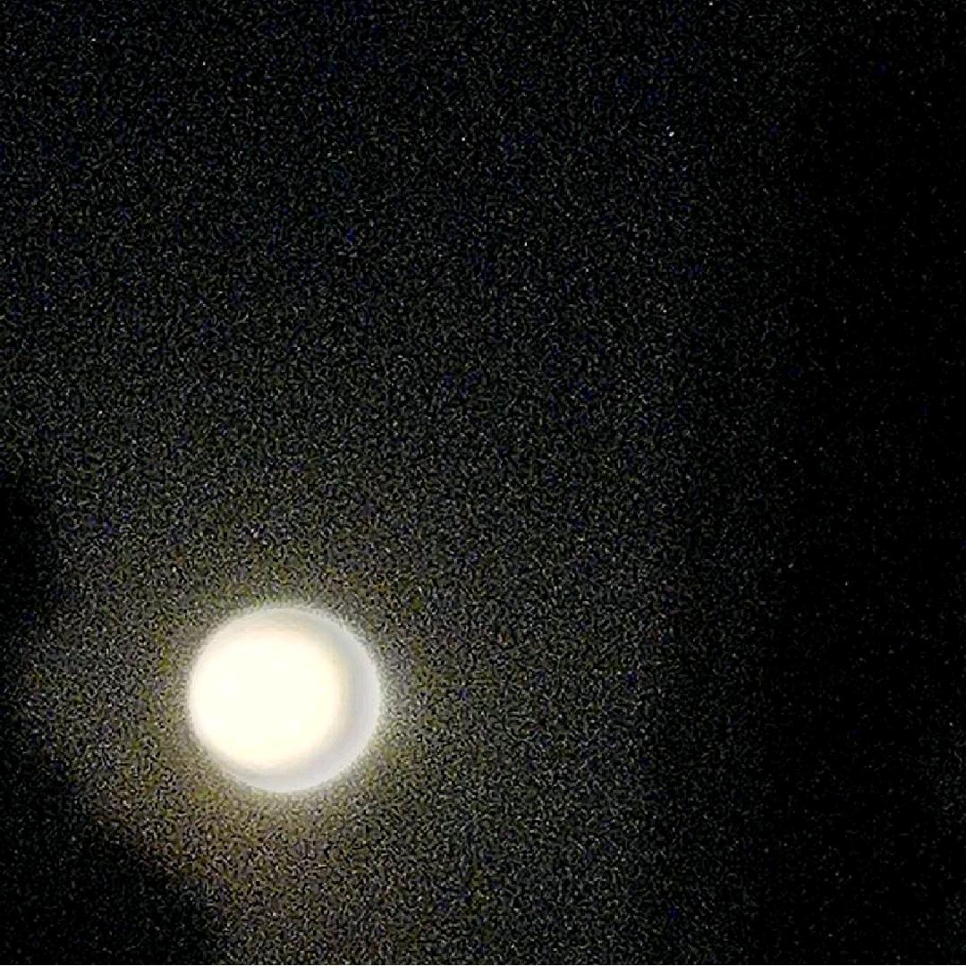 y1214