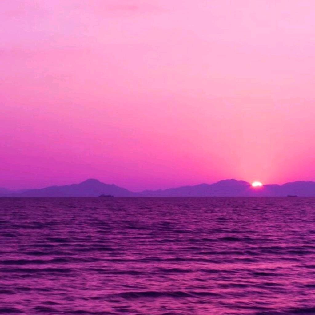 好运🌹🌹连连