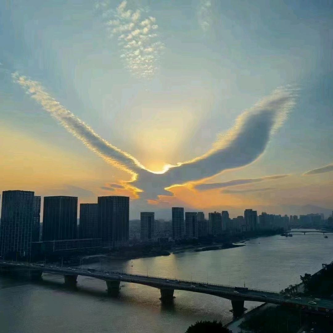朋哥