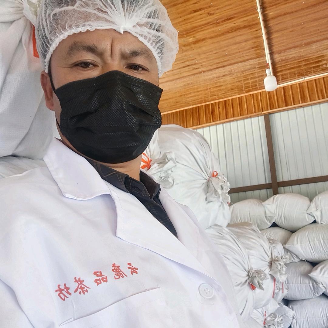 普洱茶景迈大平掌〈云鹿品〉