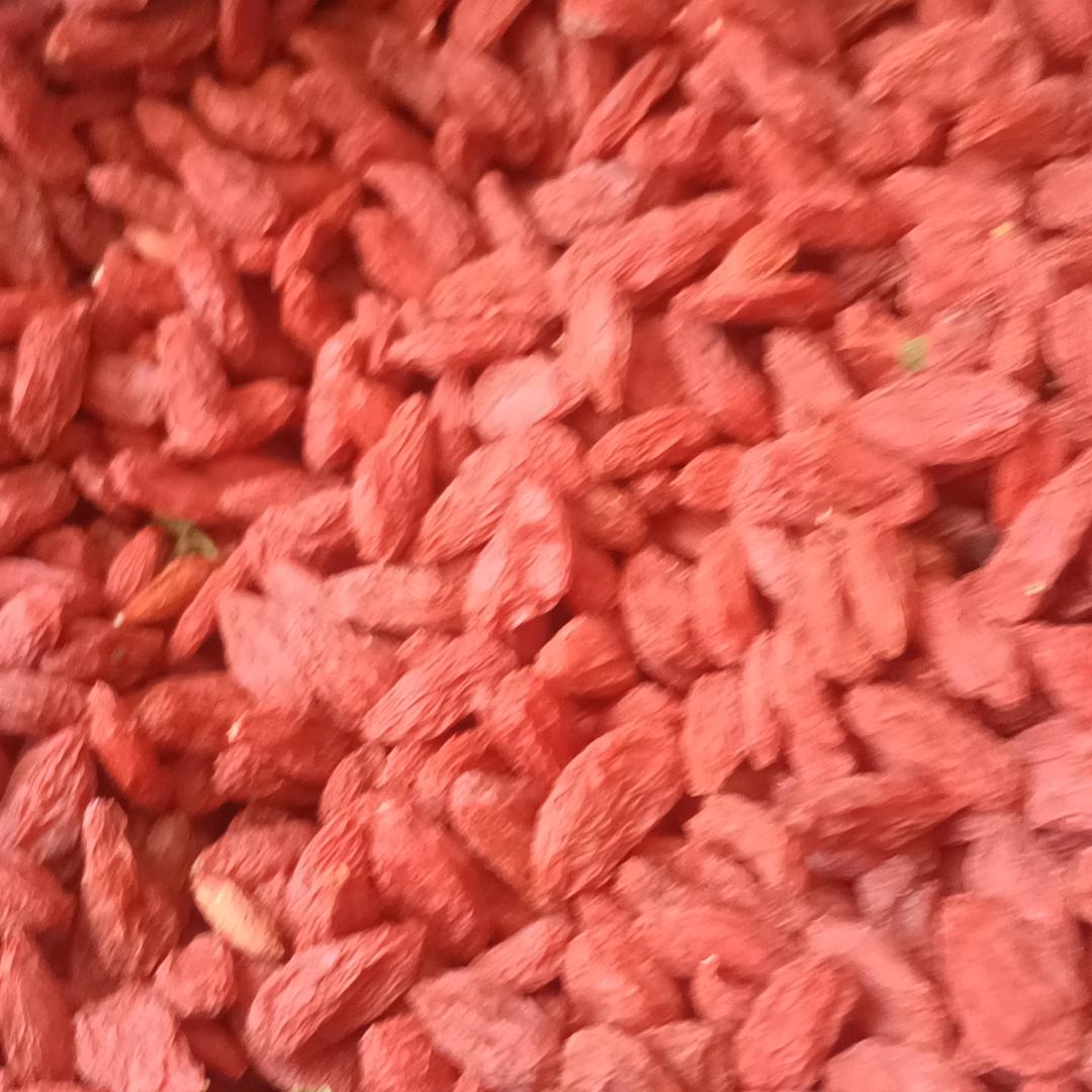 纯碱绿色枸杞