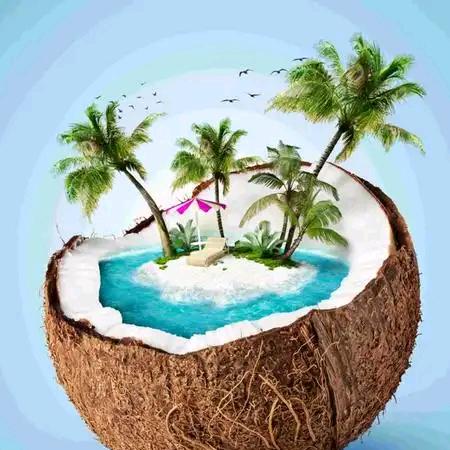 东南亚椰子🥥@抖音