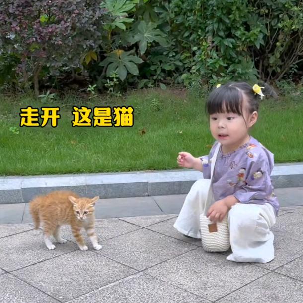 老杨的故事（静槿宸）