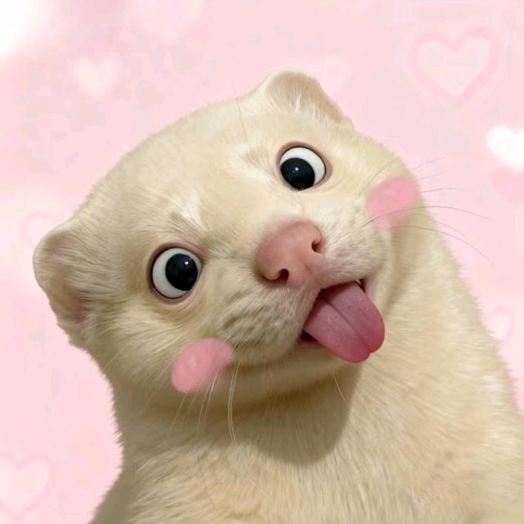 长矛沾屎戳谁谁死.