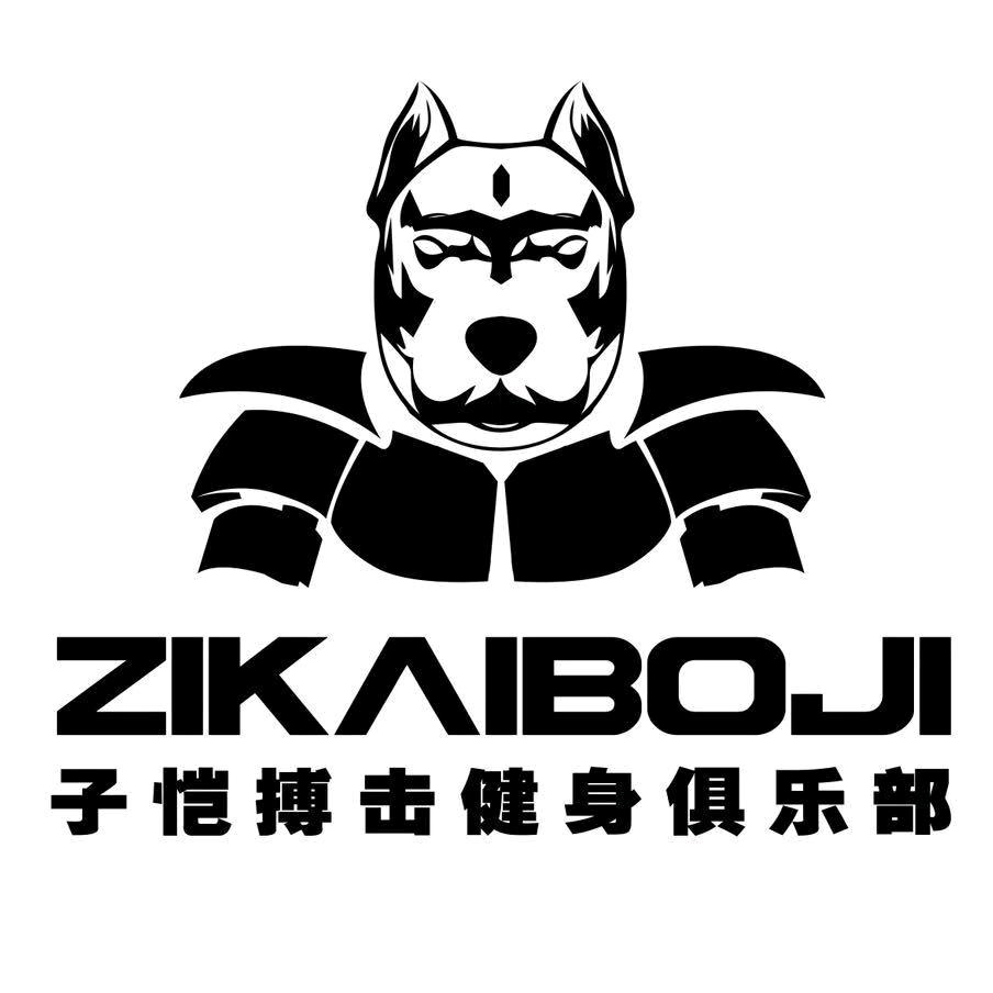 子恺搏击俱乐部-孙教练