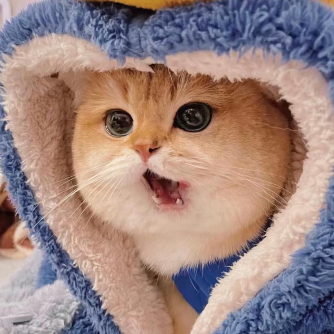 077⁎͜⁛