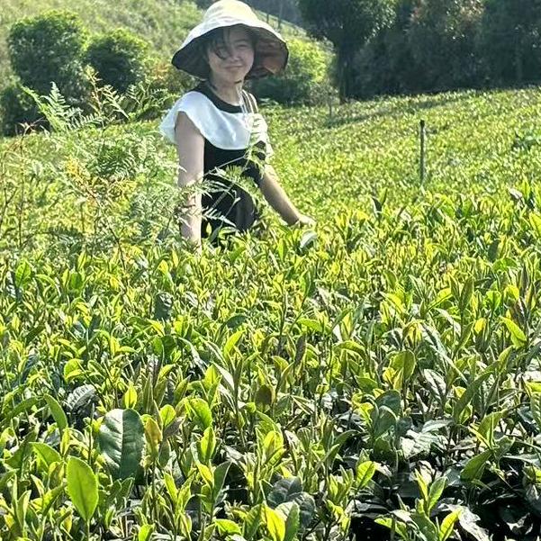 三妹 生鲜家禽