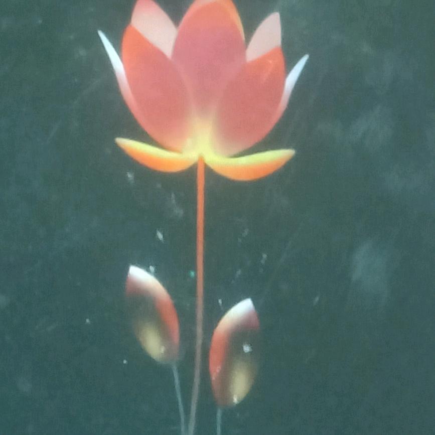 一片林