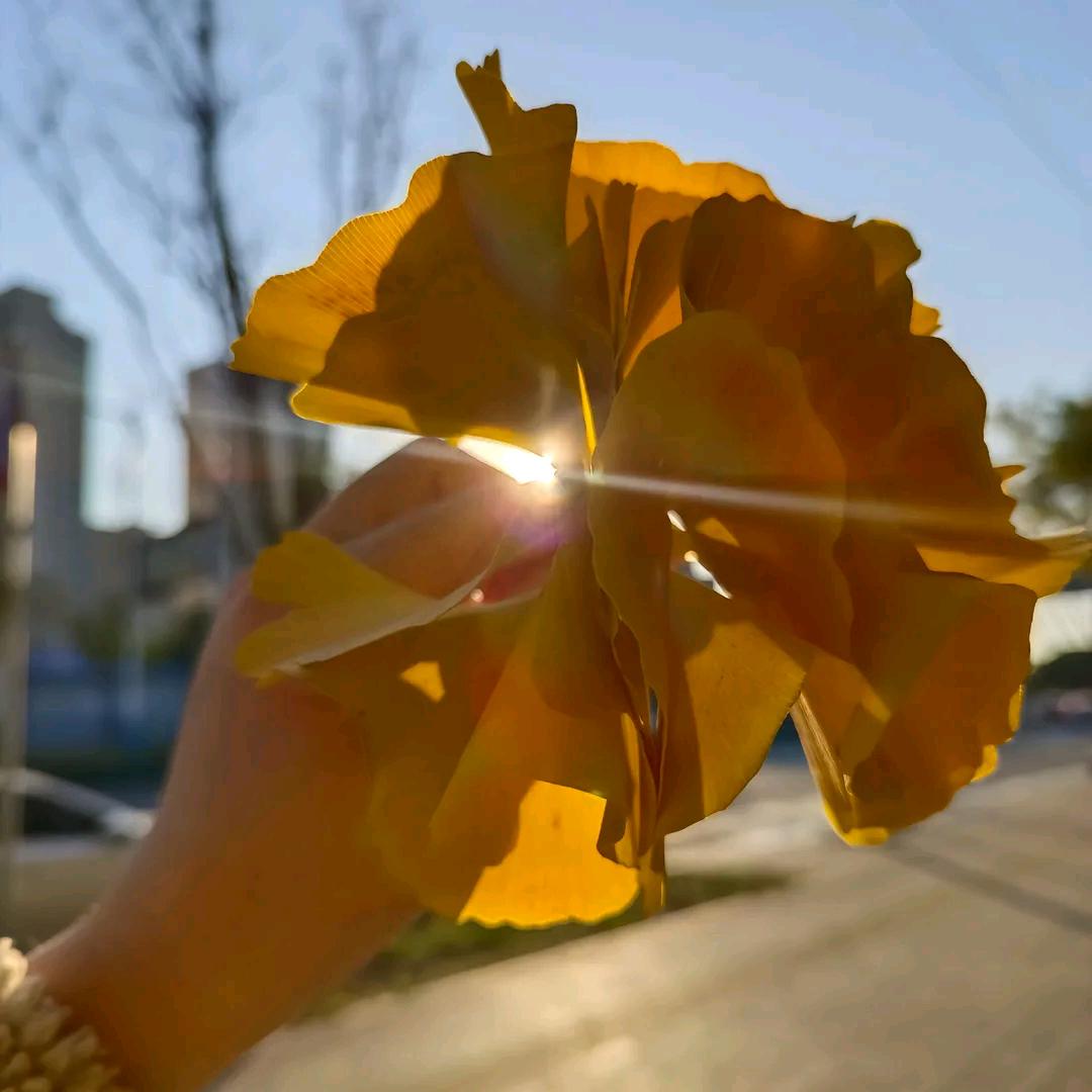 💞ℒᎭℯ⃝落叶Ꭽℯ⃝&知秋(拒连赞)