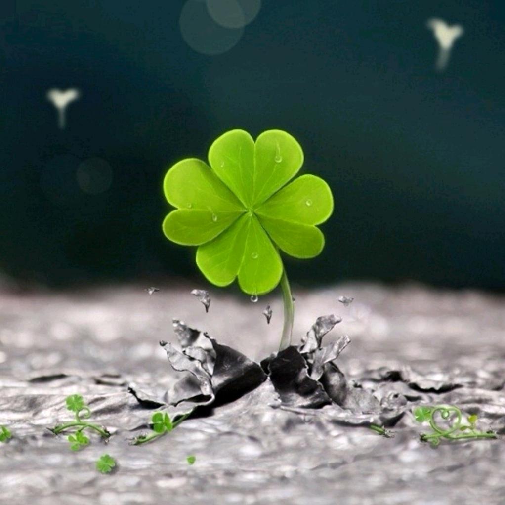 .୧₍˄·͈小米辣小辣椒🌶༝·͈˄₎୨