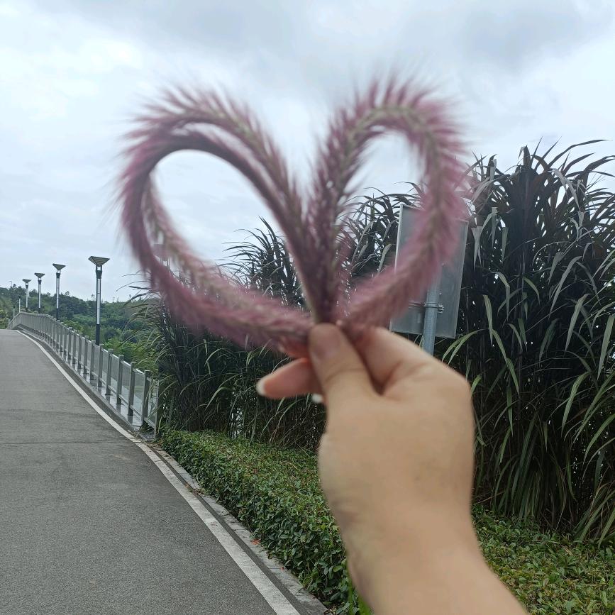如果